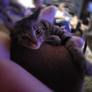 Meet your Posher, Michele